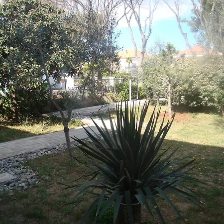 Appartement Lipa